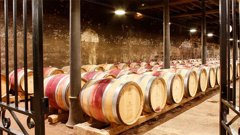 Hameau Dubœuf, musée du vin et animations familiales