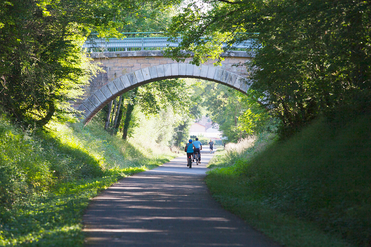 Voie Verte, piste cyclable à travers les vignes et villages