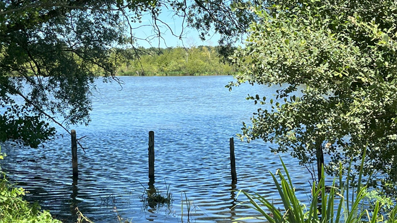 Réserve naturelle de La Truchère, dunes et tourbière